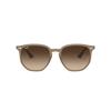 Ray-Ban RB4306 616613 | Ohgafas.com