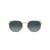 Ray-Ban Hexagonal RB3548N 91233M | Ohgafas.com