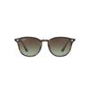 Ray-Ban RB4259 731/E8 | Ohgafas.com