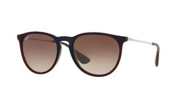 Ray-Ban Erika RB4171 631513
