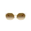 Ray-Ban Octagon RB1972 914751 | Ohgafas.com