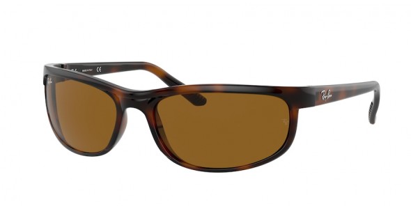 Ray-Ban Predator 2 RB2027 650833