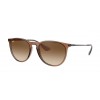 Ray-Ban Erika RB4171 651413