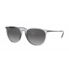 Ray-Ban Erika RB4171 651611