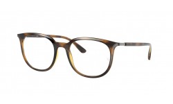 Ray-Ban 0RX7190 2012
