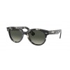 Ray-Ban Orion 0RB2199 133371