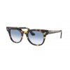 Ray-Ban Meteor 0RB2168 13323F