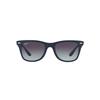 Ray-Ban Wayfarer Liteforce RB4195 63318G | Ohgafas.com