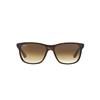 Ray-Ban RB4181 710/51 | Ohgafas.com