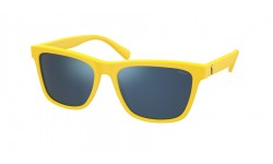 Polo Ralph Lauren PH4167 542055