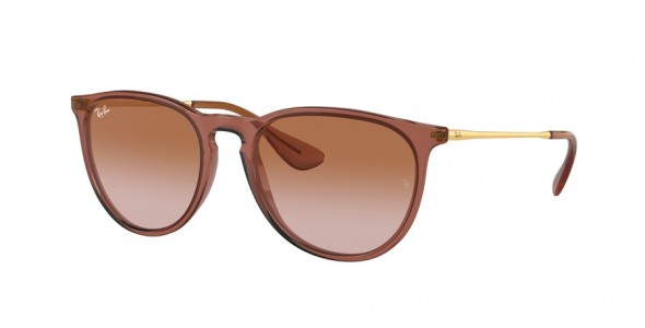 Ray-Ban Erika RB4171 659013
