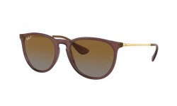 Ray-Ban Erika RB4171 6593T5