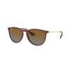 Ray-Ban Erika RB4171 6593T5