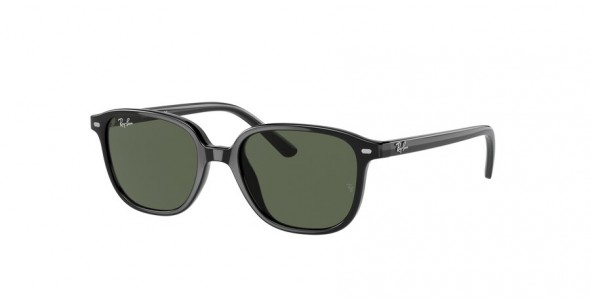 Ray-Ban Leonard Jr RJ9093S 100/71