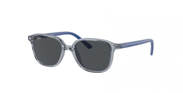 Ray-Ban Leonard Jr RJ9093S 711087
