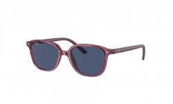 Ray-Ban Leonard Jr RJ9093S 711280