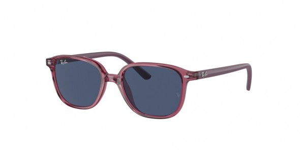 Ray-Ban Leonard Jr RJ9093S 711280