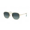 Ray-Ban Hexagonal RB3548N 91233M