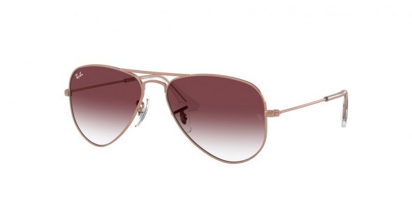 Ray-Ban Junior Aviator RJ9506S 291/8H
