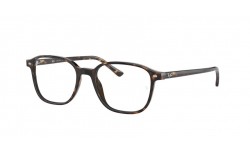 Ray-Ban Leonard RX5393 2012