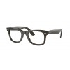 Ray-Ban Wayfarer Ease RX4340V 8224