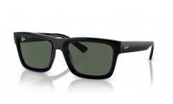Ray-Ban Warren RB4396 667771