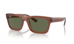 Ray-Ban Warren RB4396 66789A