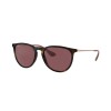 Ray-Ban Erika RB4171 639175