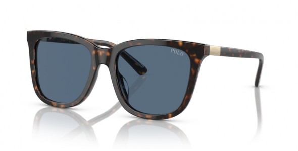 Polo Ralph Lauren PH4201U 500380
