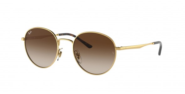 Ray-Ban RB3681 001/13