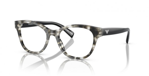 Emporio Armani EA3162 5193