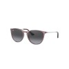 Ray-Ban Junior Junior Erika RJ9060S 71078G