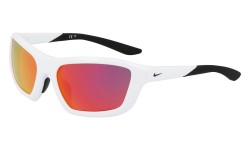 Nike BRAZER M FV2401 100