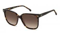 Carrera 3002/S 086 (HA)