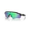 Oakley RADAR EV PATH OO9208 9208F0