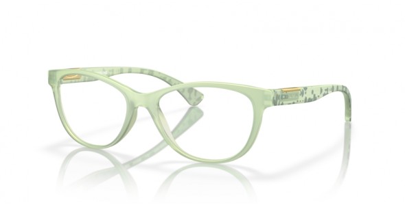 Oakley PLUNGELINE OX8146 814610