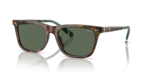 Polo Ralph Lauren PH4205U 501771