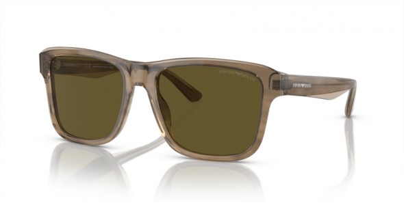 Emporio Armani EA4208 605573