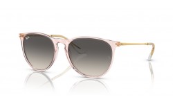 Ray-Ban ERIKA RB4171 674211