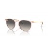 Ray-Ban ERIKA RB4171 674211