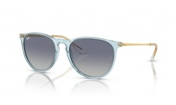 Ray-Ban ERIKA RB4171 67434L