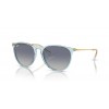 Ray-Ban ERIKA RB4171 67434L