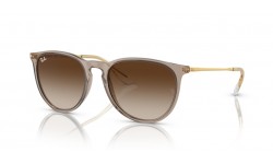 Ray-Ban ERIKA RB4171 674413