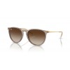 Ray-Ban ERIKA RB4171 674413