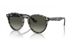 Ray-Ban LARRY RB7680S 133371