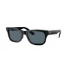 Ray-Ban Mr Burbank RB2283 901/R5