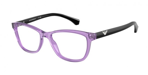 Emporio Armani EA3099 6197