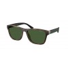 Polo Ralph Lauren PH4229U 607071