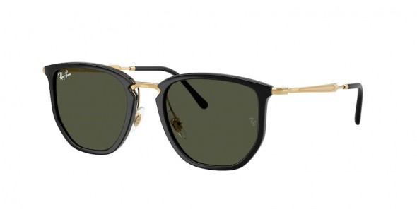 Ray-Ban RB4451 630631