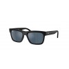 Ray-Ban RJ9196S 100S55